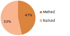 Pie Chart - Genders